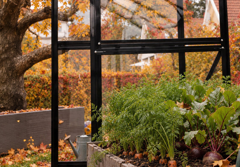 What Crops Thrive in a Greenhouse During Fall?