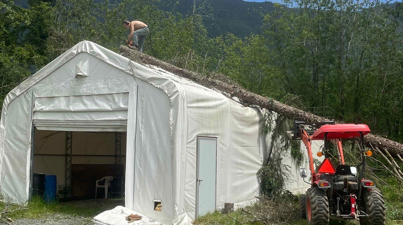 Customer Story: How the TMG 20x40 Dual Truss Shelter Stood Strong Against a Fallen Tree