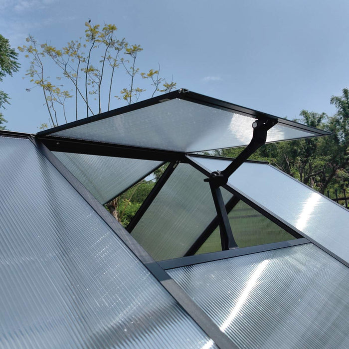 6' x 8' Greenhouse with Polycarbonate Roof and Walls, Durable Aluminum Frame, Quick Assembly, Essential Series, TMG-GHE0608
