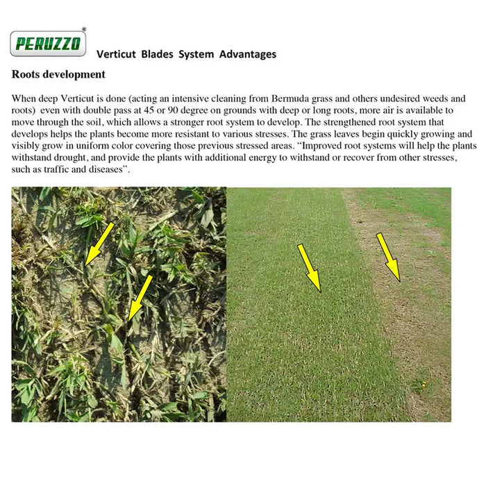 Peruzzo Koala Professional 1600 Italian-made 60" collector flail mower