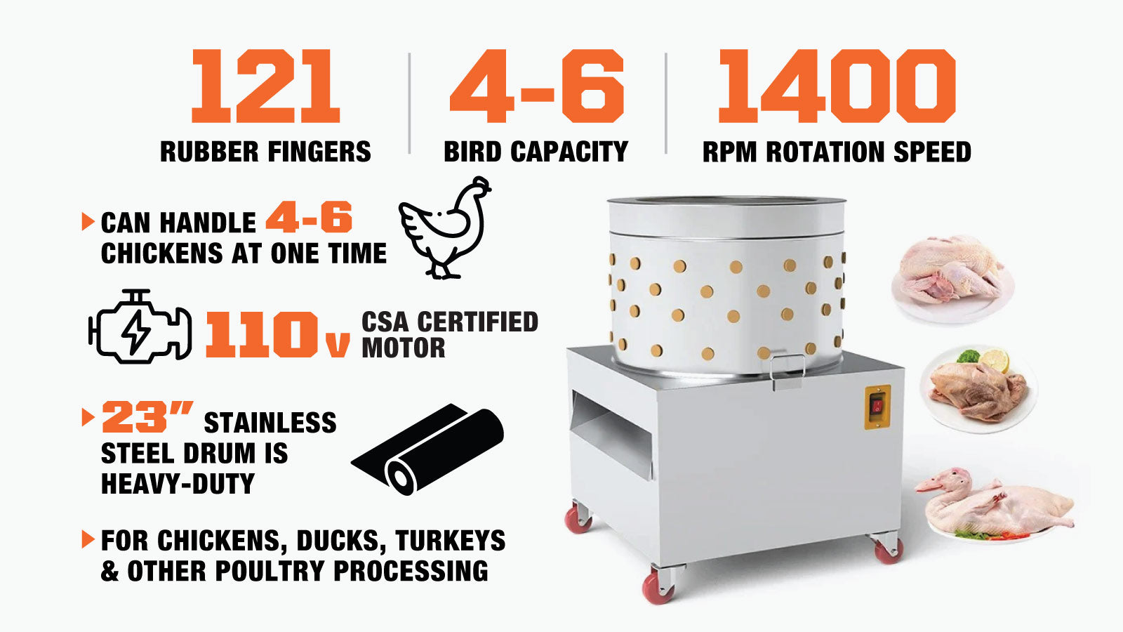 Machine à plumer le poulet TMG Industrial 23 