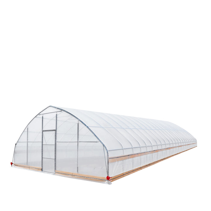 TMG Industrial 25' x 100' Tente de culture en tunnel avec film plastique EVA transparent de 6 mil, cadre froid, côtés enroulables à manivelle, toit de plafond en pointe, TMG-GH25100