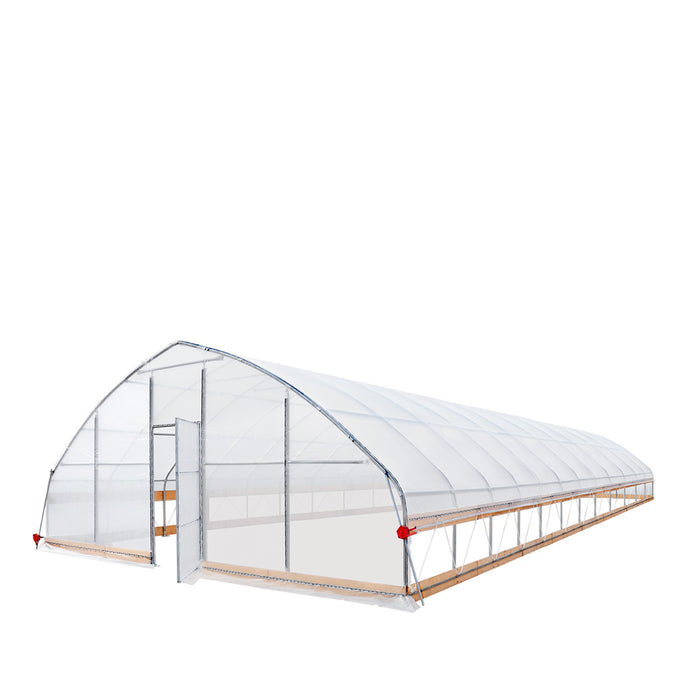 TMG Industrial 25' x 50' Tente de culture en tunnel avec film plastique EVA transparent de 6 mil, cadre froid, côtés enroulables à manivelle, toit de plafond en pointe, TMG-GH2550