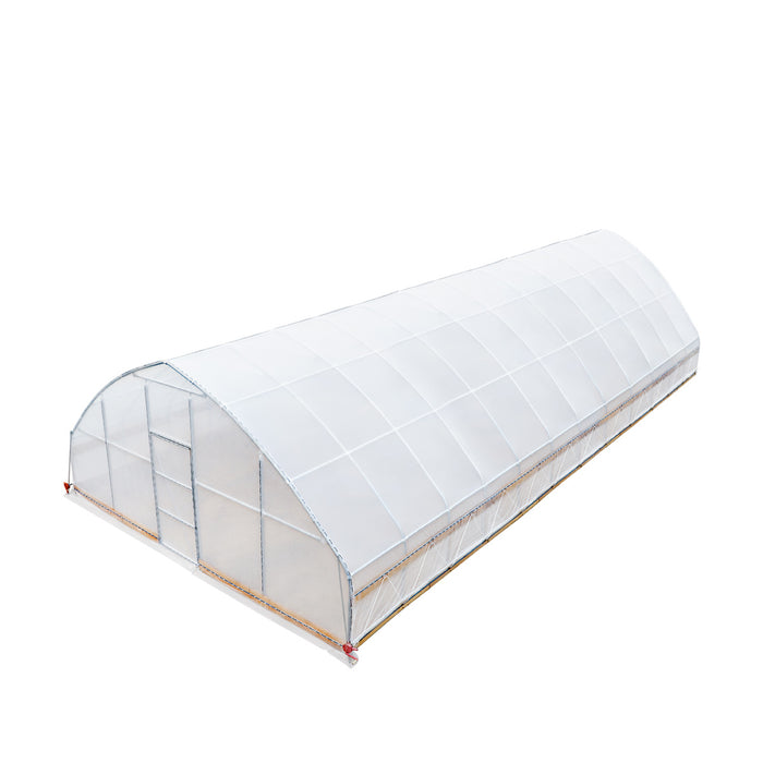 TMG Industrial 25' x 50' Tente de culture en tunnel avec film plastique EVA transparent de 6 mil, cadre froid, côtés enroulables à manivelle, toit de plafond en pointe, TMG-GH2550