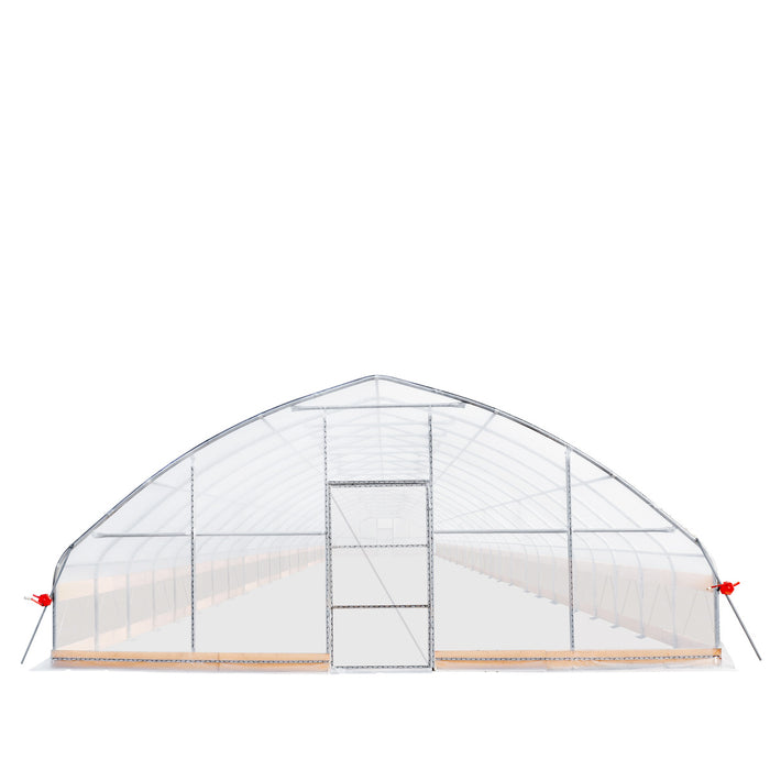 TMG Industrial 25' x 80' Tente de culture en tunnel avec film plastique EVA transparent de 6 mil, cadre froid, côtés enroulables à manivelle, toit de plafond en pointe, TMG-GH2580