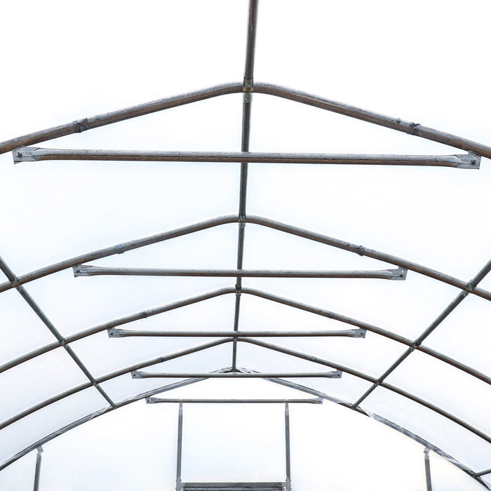 TMG Industrial 25' x 80' Tente de culture en tunnel avec film plastique EVA transparent de 6 mil, cadre froid, côtés enroulables à manivelle, toit de plafond en pointe, TMG-GH2580