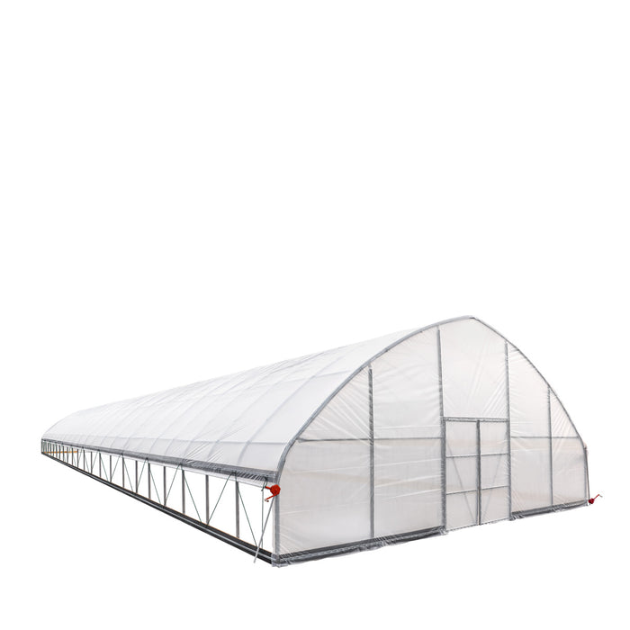 30' x 100' Commercial Tunnel Greenhouse with 6 Mil Clear Poly Covers and Roll-Up Sides TMG-GH30100-V2 (Previously GH30100)