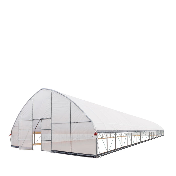 30' x 100' Commercial Tunnel Greenhouse with 6 Mil Clear Poly Covers and Roll-Up Sides TMG-GH30100-V2 (Previously GH30100)