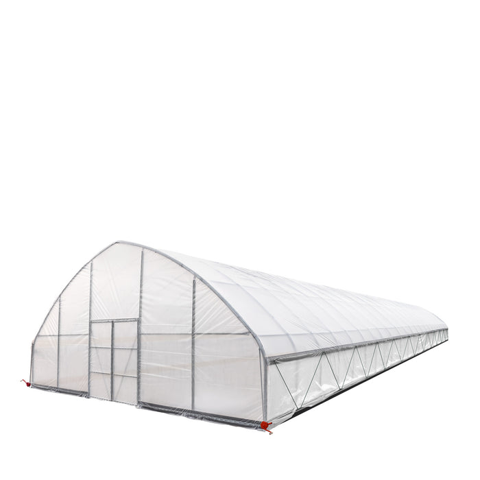 TMG Industrial 30' x 100' Tente de culture en tunnel avec film plastique EVA transparent de 6 mil, cadre froid, côtés enroulables à manivelle, toit de plafond en pointe, TMG-GH30100