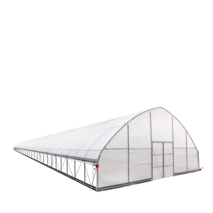 TMG Industrial 30' x 120' Tente de culture en tunnel avec film plastique EVA transparent de 6 mil, cadre froid, côtés enroulables à manivelle, toit de plafond en pointe, TMG-GH30120