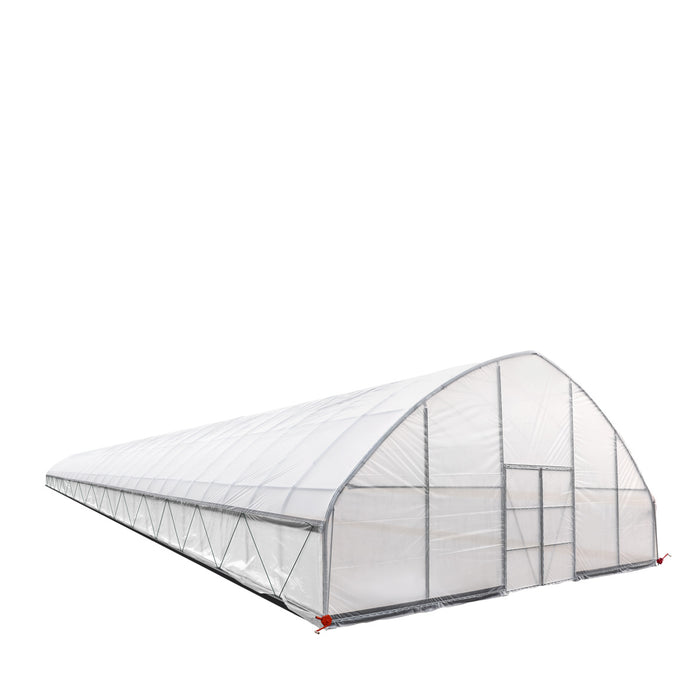 TMG Industrial 30' x 120' Tente de culture en tunnel avec film plastique EVA transparent de 6 mil, cadre froid, côtés enroulables à manivelle, toit de plafond en pointe, TMG-GH30120