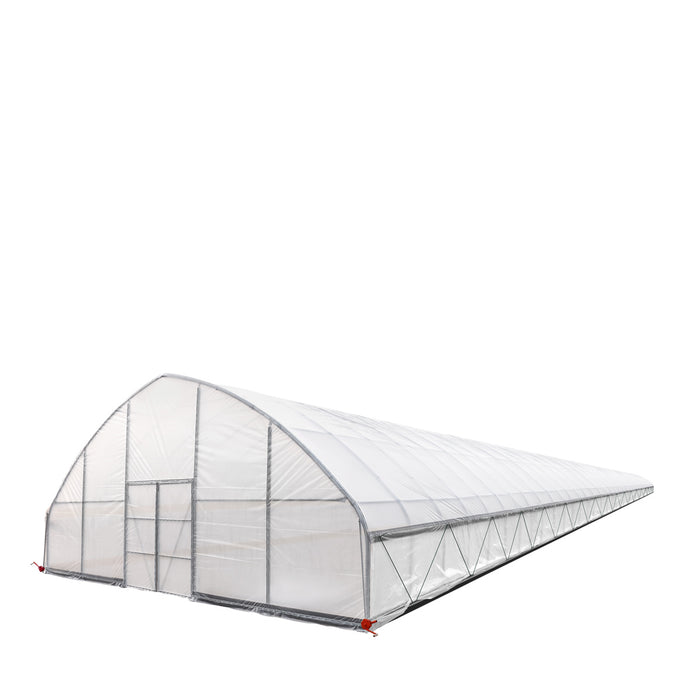 TMG Industrial 30' x 150' Tente de culture en tunnel avec film plastique EVA transparent de 6 mil, cadre froid, côtés enroulables à manivelle, toit de plafond en pointe, TMG-GH30150