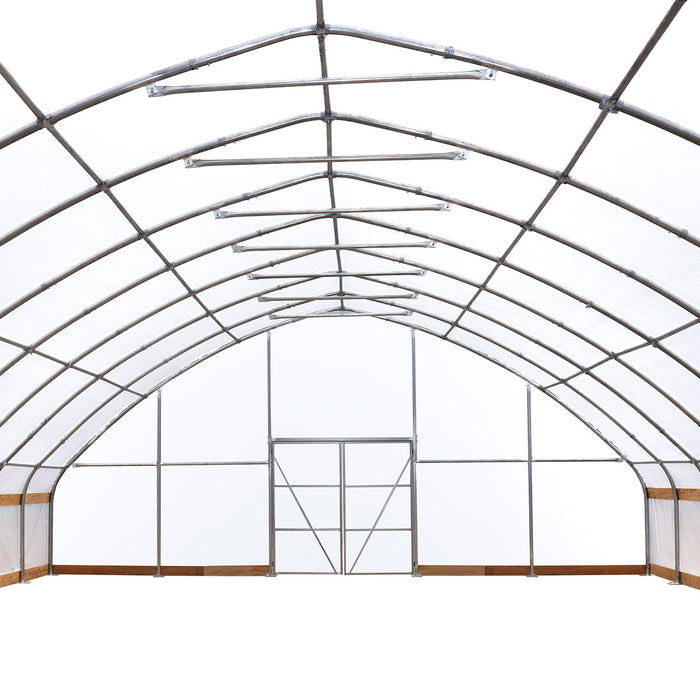 TMG Industrial 30' x 150' Tente de culture en tunnel avec film plastique EVA transparent de 6 mil, cadre froid, côtés enroulables à manivelle, toit de plafond en pointe, TMG-GH30150