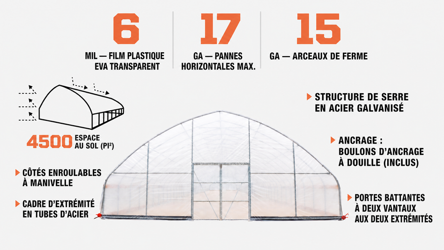 TMG Industrial 30' x 150' Tente de culture en tunnel avec film plastique EVA transparent de 6 mil, cadre froid, côtés enroulables à manivelle, toit de plafond en pointe, TMG-GH30150
