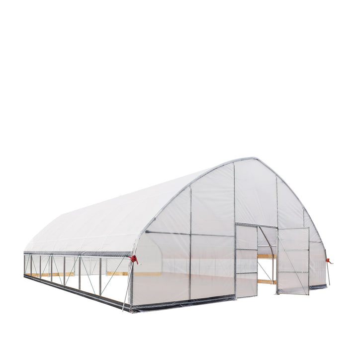 TMG Industrial 30' x 30' Tente de culture en tunnel avec film plastique EVA transparent de 6 mil, cadre froid, côtés enroulables à manivelle, toit de plafond en pointe, TMG-GH3030
