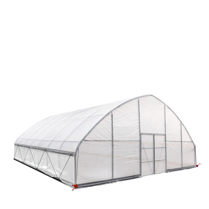 TMG Industrial 30' x 30' Tente de culture en tunnel avec film plastique EVA transparent de 6 mil, cadre froid, côtés enroulables à manivelle, toit de plafond en pointe, TMG-GH3030