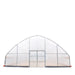 TMG-GH3030-V2 30' x 30' commercial tunnel greenhouse with 6 mil clear EVA poly cover and roll-up sides, view 4.