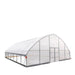 TMG-GH3030-V2 30' x 30' commercial tunnel greenhouse with 6 mil clear EVA poly cover and roll-up sides, view 6.