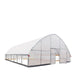 TMG-GH3030-V2 30' x 30' commercial tunnel greenhouse with 6 mil clear EVA poly cover and roll-up sides, view 16.