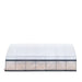 TMG-GH3030-V2 30' x 30' commercial tunnel greenhouse with 6 mil clear EVA poly cover and roll-up sides, view 26.