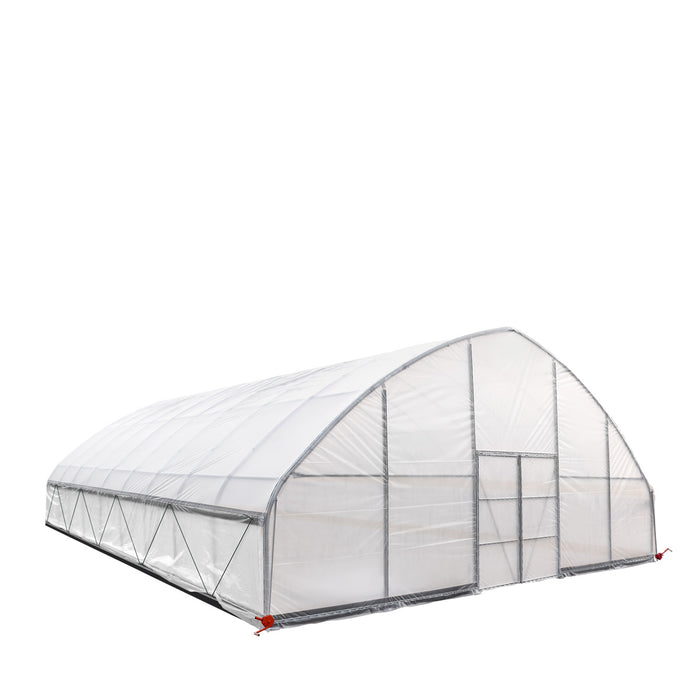 TMG Industrial 30' x 40' Tente de culture en tunnel avec film plastique EVA transparent de 6 mil, cadre froid, côtés enroulables à manivelle, toit de plafond en pointe, TMG-GH3040
