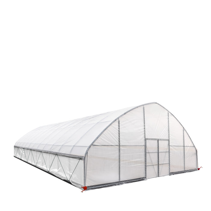 TMG Industrial 30' x 50' Tente de culture en tunnel avec film plastique EVA transparent de 6 mil, cadre froid, côtés enroulables à manivelle, toit de plafond en pointe, TMG-GH3050