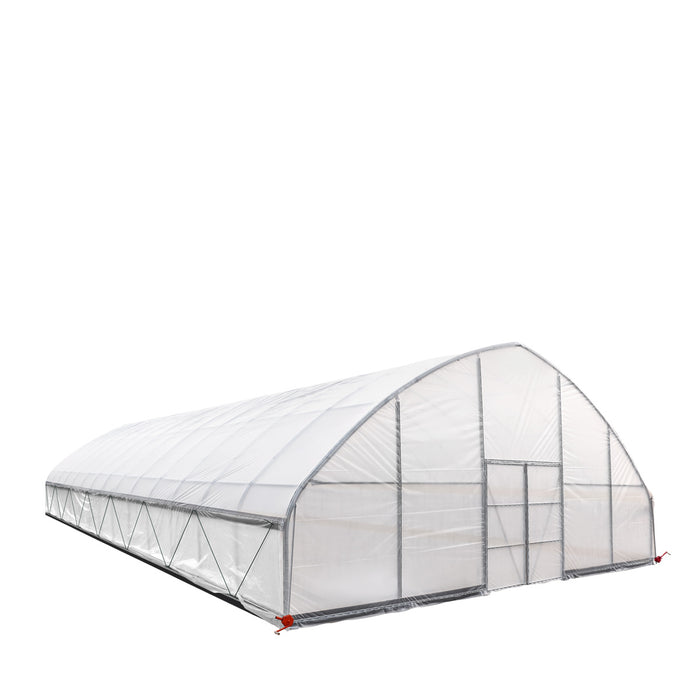 TMG Industrial 30’ x 60’ Tunnel Greenhouse Grow Tent w/6 Mil Clear EVA Plastic Film, Cold Frame, Hand Crank Roll-Up Sides, Peak Ceiling Roof, TMG-GH3060