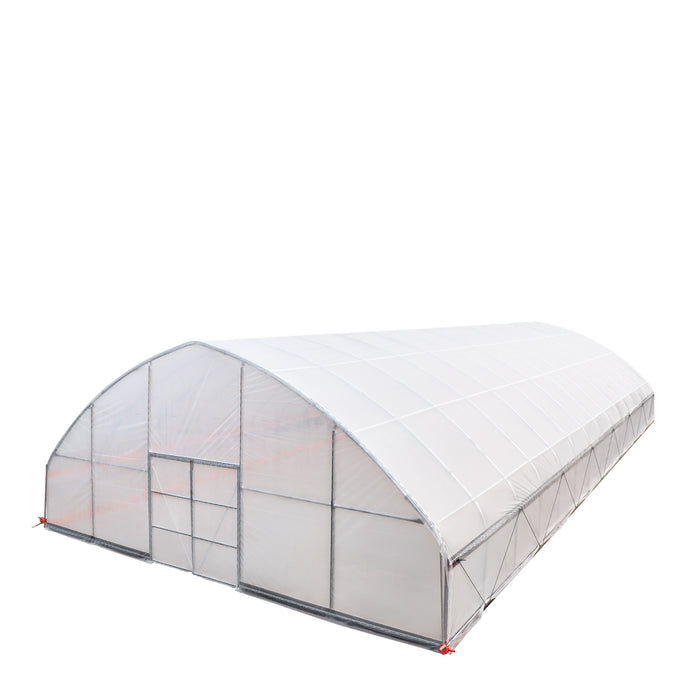 TMG Industrial 30' x 60' Tente de culture en tunnel avec film plastique EVA transparent de 6 mil, cadre froid, côtés enroulables à manivelle, toit de plafond en pointe, TMG-GH3060