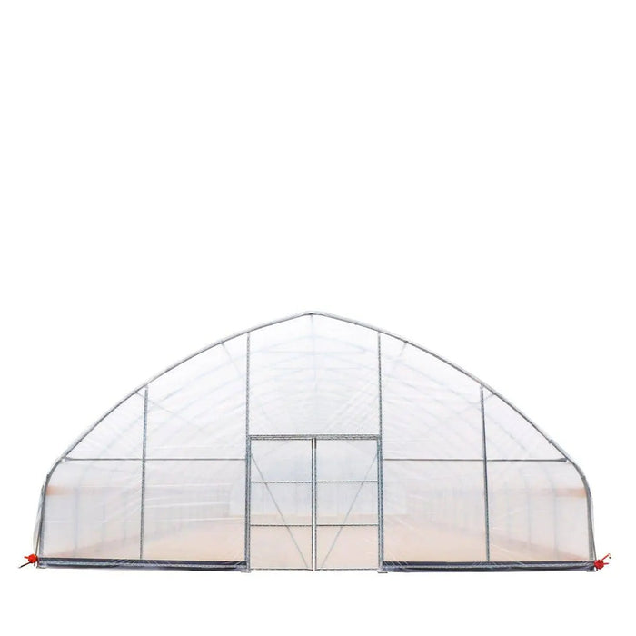 TMG-GH3060-V2 30' x 60' commercial tunnel greenhouse with 6 mil clear EVA poly cover and roll-up sides, view 4.