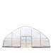 TMG-GH3060-V2 30' x 60' commercial tunnel greenhouse with 6 mil clear EVA poly cover and roll-up sides, view 4.