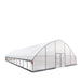 TMG-GH3060-V2 30' x 60' commercial tunnel greenhouse with 6 mil clear EVA poly cover and roll-up sides, view 6.