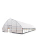 TMG-GH3060-V2 30' x 60' commercial tunnel greenhouse with 6 mil clear EVA poly cover and roll-up sides, view 14.