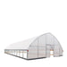 TMG-GH3060-V2 30' x 60' commercial tunnel greenhouse with 6 mil clear EVA poly cover and roll-up sides, view 16.