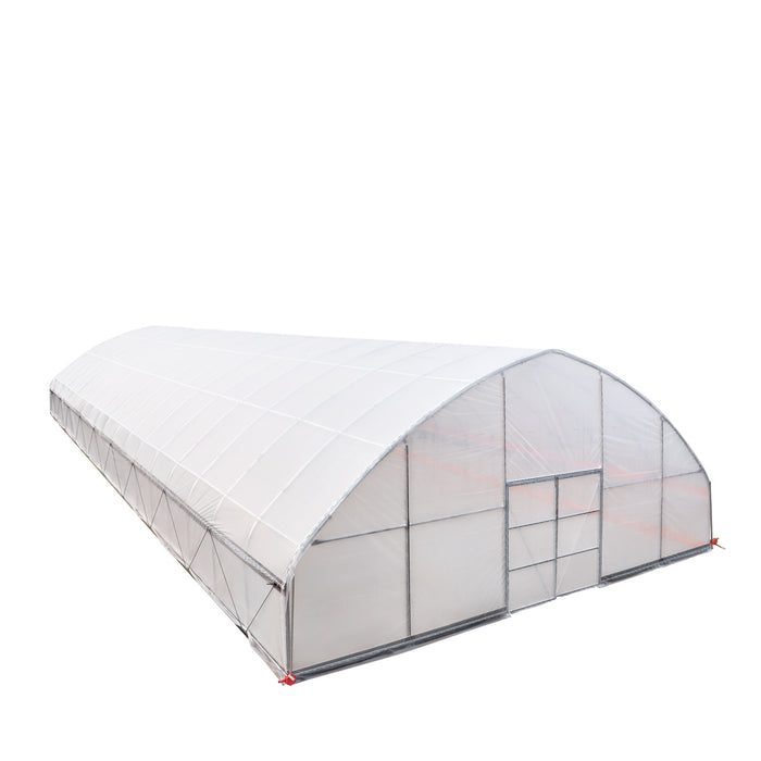 TMG Industrial 30' x 80' Tente de culture en tunnel avec film plastique EVA transparent de 6 mil, cadre froid, côtés enroulables à manivelle, toit de plafond en pointe, TMG-GH3080