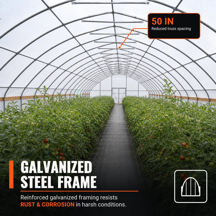 Serre tunnel commerciale de 30' x 80' avec bâches en polyéthylène transparent de 6 mil et côtés enroulables TMG-GH3080-V2 (Anciennement GH3080)