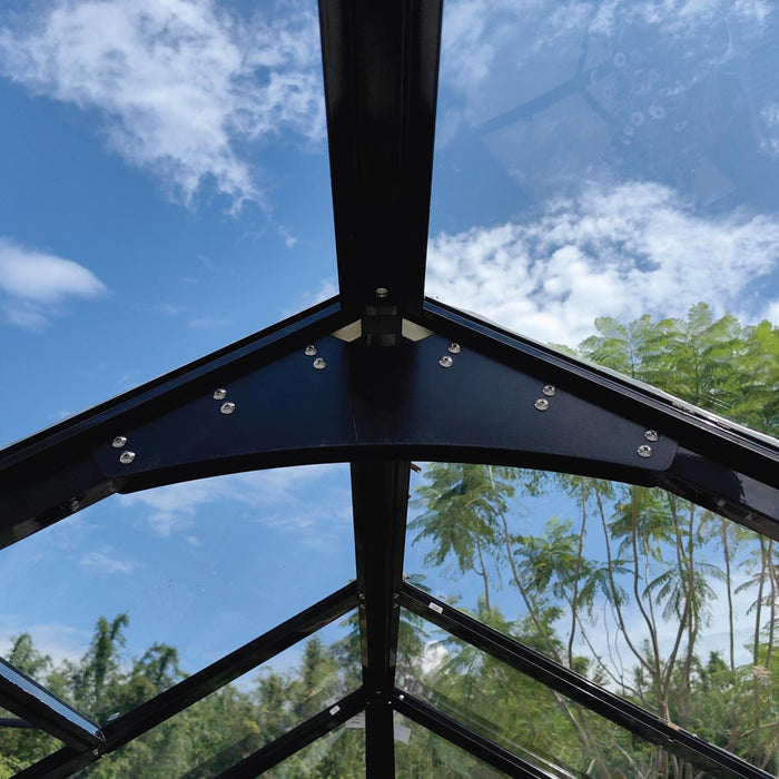 Alpine Series 9' x 9' Greenhouse, 8' Height, Expandable Aluminum Frame, Tempered Glass Walls and Polycarbonate Roof, Quick-Connect Assembly, TMG-GHA0909