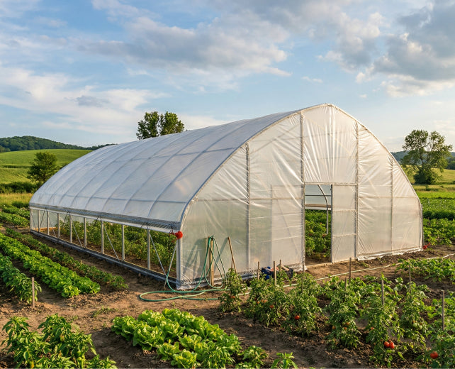 Cold Frame Greenhouses
