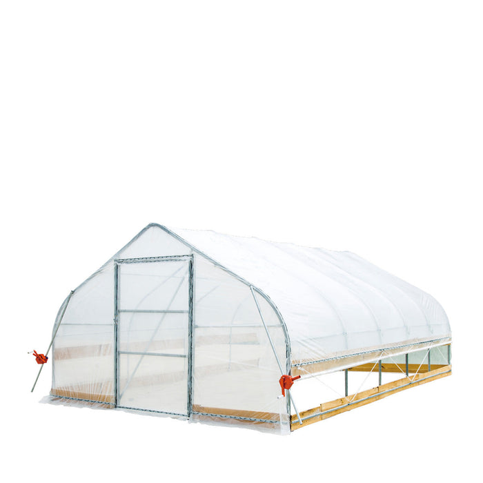TMG Industrial 12' x 20' Tente de culture en tunnel avec film plastique EVA transparent de 6 mil, cadre froid, côtés enroulables à manivelle, toit de plafond en pointe, TMG-GH1220