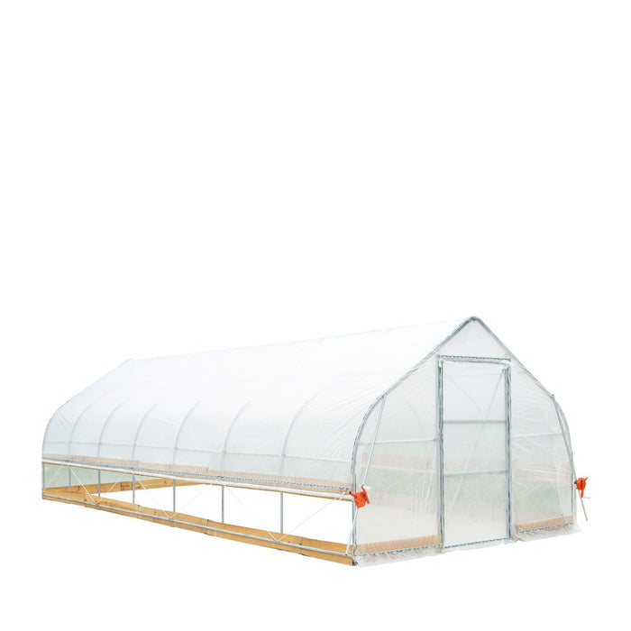 TMG Industrial 12' x 30' Tente de culture en tunnel avec film plastique EVA transparent de 6 mil, cadre froid, côtés enroulables à manivelle, toit de plafond en pointe, TMG-GH1230