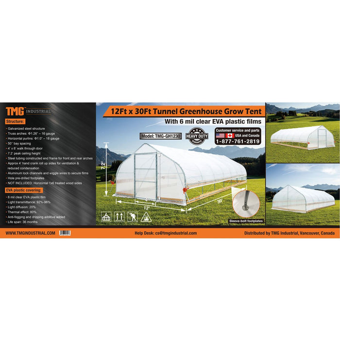 TMG Industrial 12' x 30' Tente de culture en tunnel avec film plastique EVA transparent de 6 mil, cadre froid, côtés enroulables à manivelle, toit de plafond en pointe, TMG-GH1230
