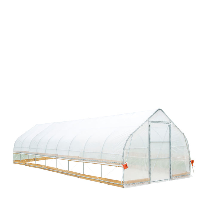 TMG Industrial 12' x 40' Tente de culture en tunnel avec film plastique EVA transparent de 6 mil, cadre froid, côtés enroulables à manivelle, toit de plafond en pointe, TMG-GH1240