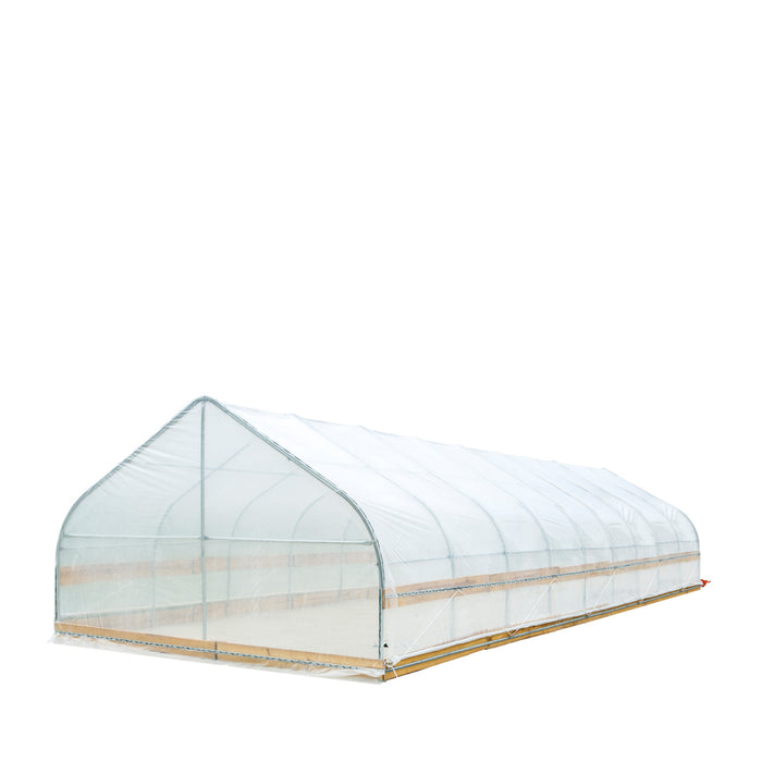 TMG Industrial 12' x 40' Tente de culture en tunnel avec film plastique EVA transparent de 6 mil, cadre froid, côtés enroulables à manivelle, toit de plafond en pointe, TMG-GH1240