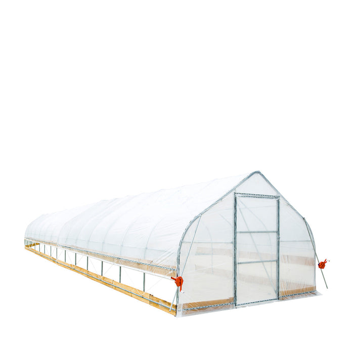 TMG Industrial 12' x 60' Tente de culture en tunnel avec film plastique EVA transparent de 6 mil, cadre froid, côtés enroulables à manivelle, toit de plafond en pointe, TMG-GH1260