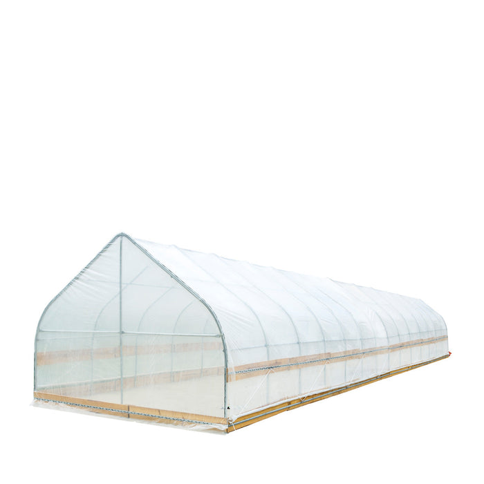 TMG Industrial 12' x 60' Tente de culture en tunnel avec film plastique EVA transparent de 6 mil, cadre froid, côtés enroulables à manivelle, toit de plafond en pointe, TMG-GH1260