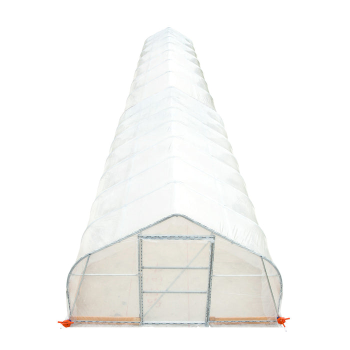TMG Industrial 12’ x 60’ Tunnel Greenhouse Grow Tent w/6 Mil Clear EVA Plastic Film, Cold Frame, Hand Crank Roll-Up Sides, Peak Ceiling Roof, TMG-GH1260