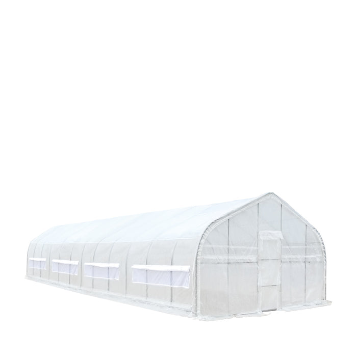 TMG Industrial 20' x 60' Tunnel Greenhouse Grow Tent with 12 Mil Ripstop Leno Mesh Cover, Cold Frame, Roll-up Windows, Peak Ceiling Roof, TMG-GH2060